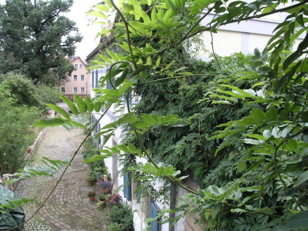 Ferienhaus Am Gruenen Stadtrand Dresden